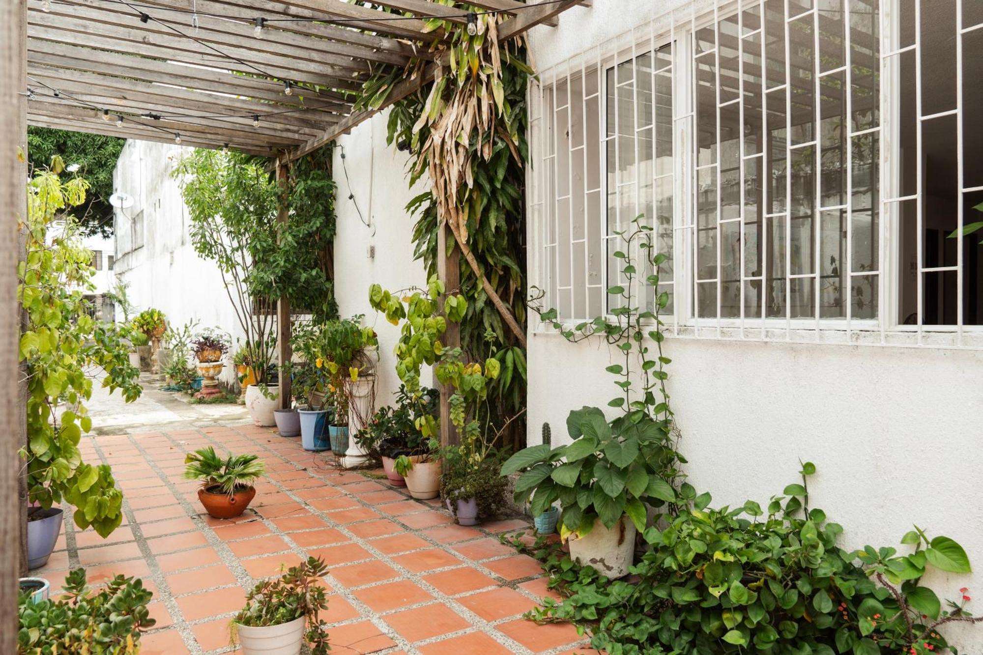 Bed and breakfast Mango Biche - House *