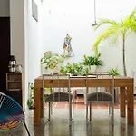 Mango Biche - House