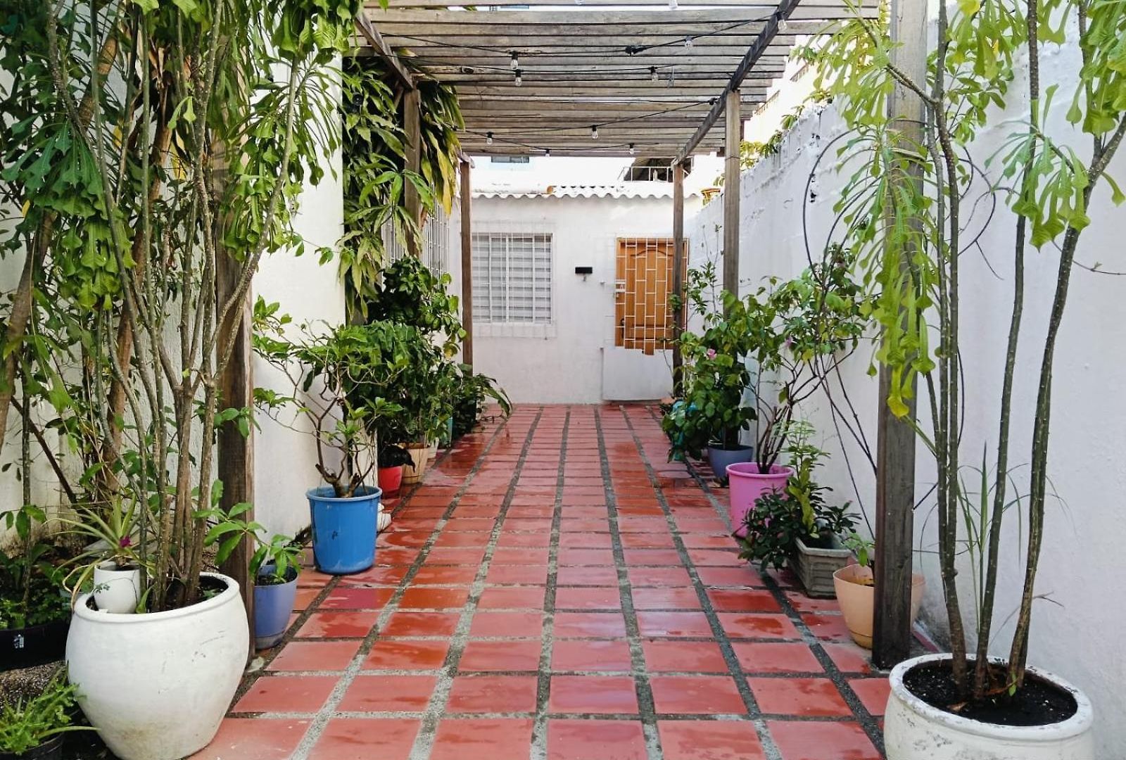 Bed & Breakfast Mango Biche - House *