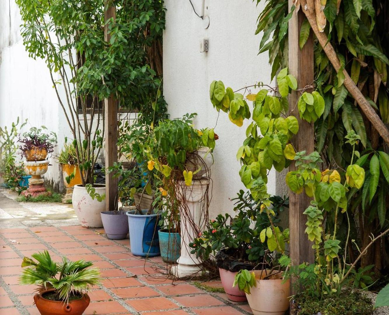 Bed & Breakfast Mango Biche - House *