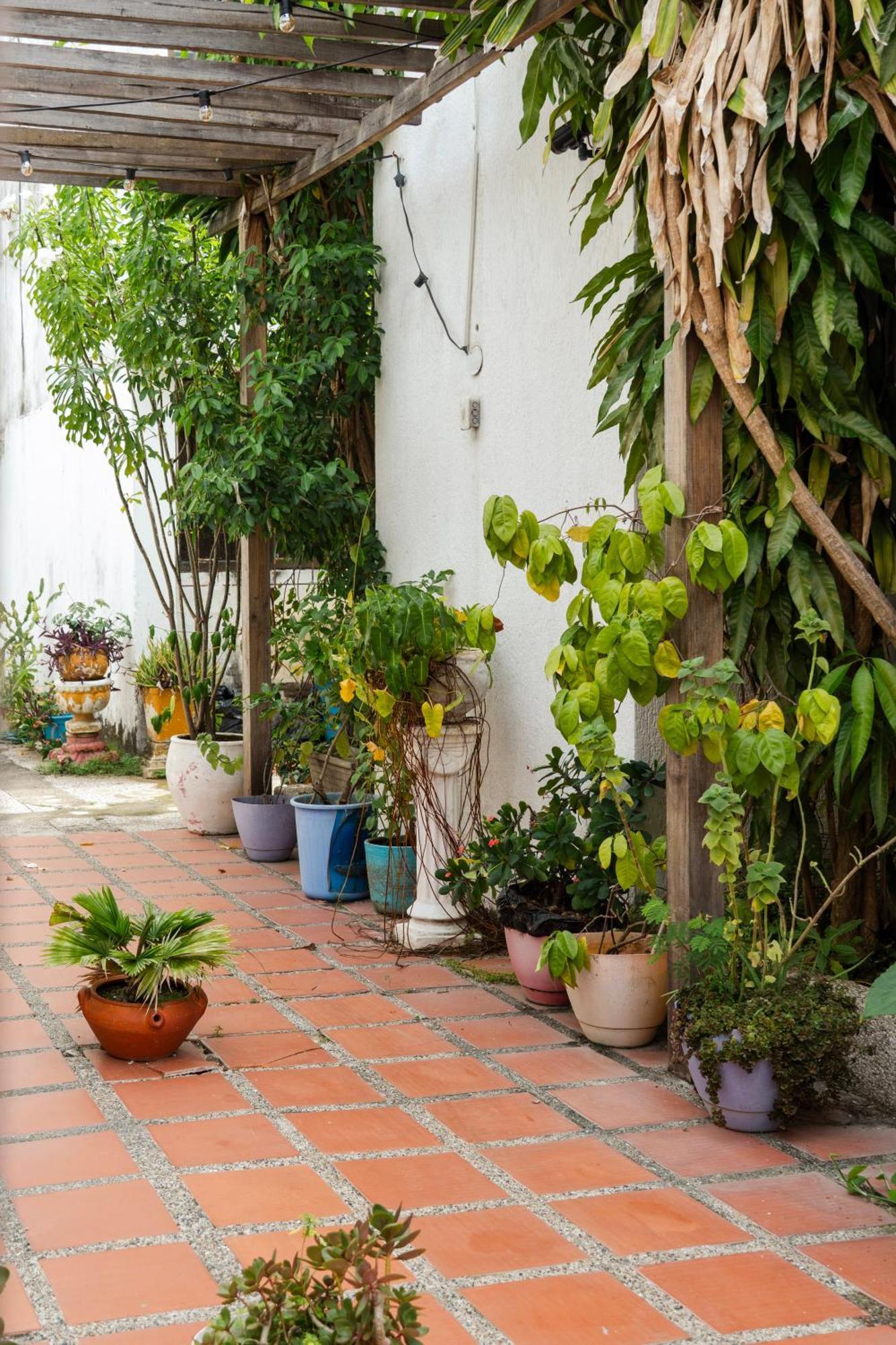 Bed & Breakfast Mango Biche - House *